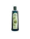 Persona Amla Oil 200 ml