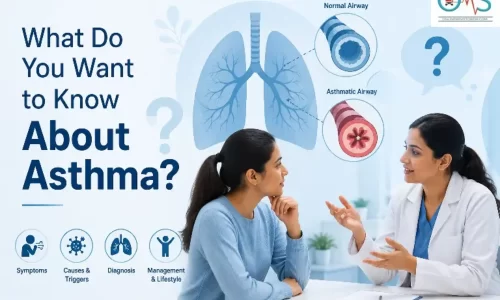 Doctor explaining asthma and lung health to a patient with an educational illustration showing healthy and inflamed airways.
