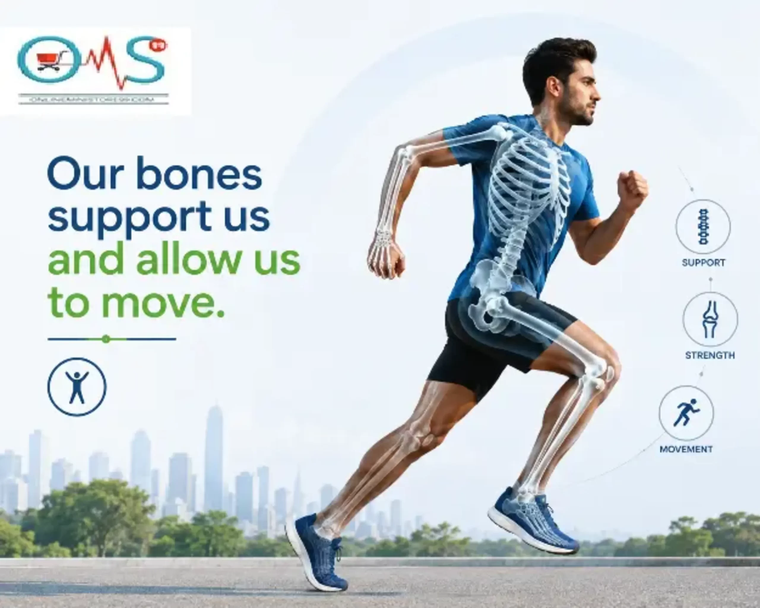 Bone Health and Support for Better Mobility
