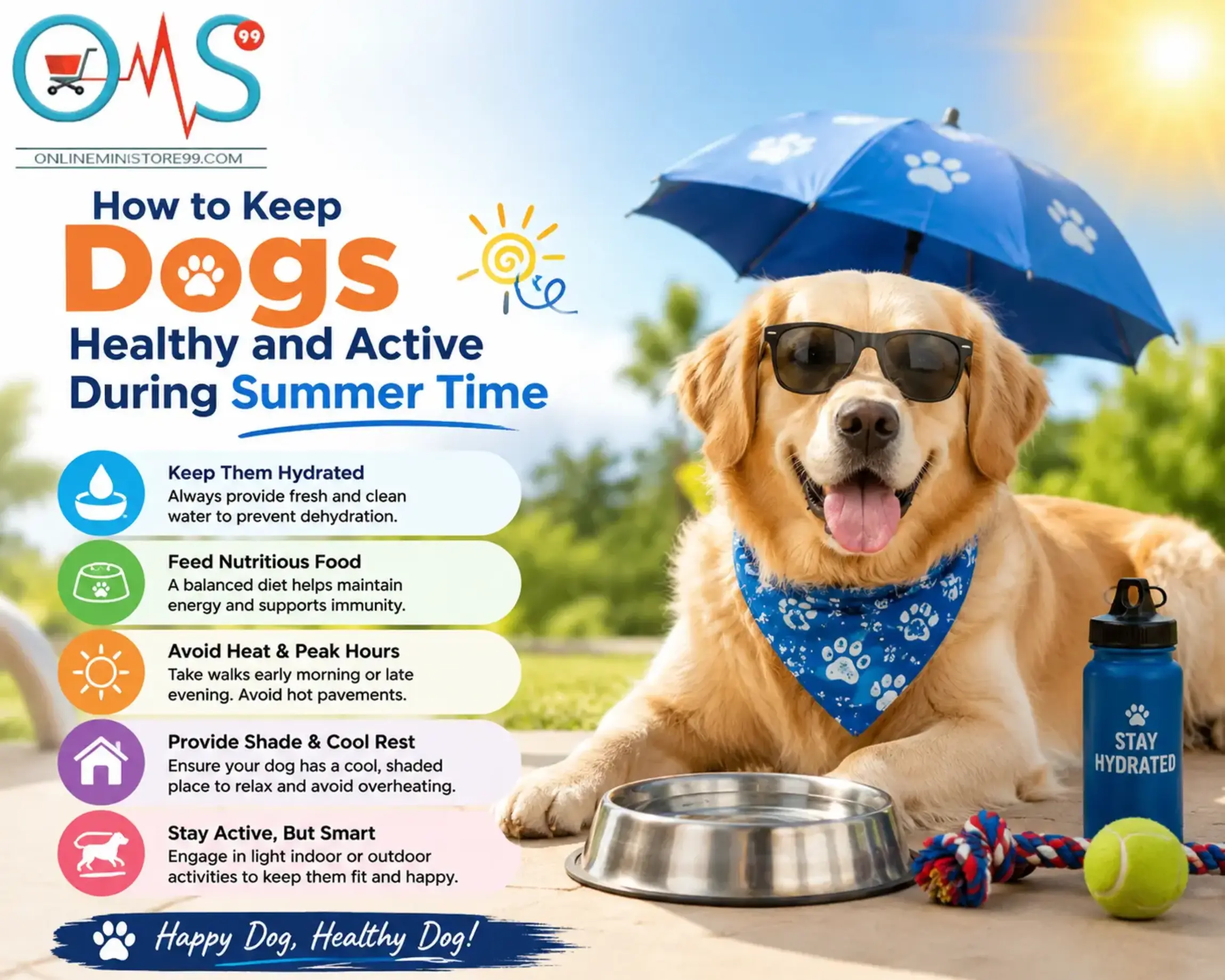 How to Keep Dogs Healthy and Active During Summer Time