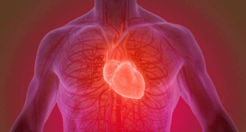 What to Do If You Have Familial Heart Disease